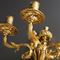 suspension,cut-glass,ormolu,light,rococo,neoclassical,baroque,biedermeier,Louis XVI,French