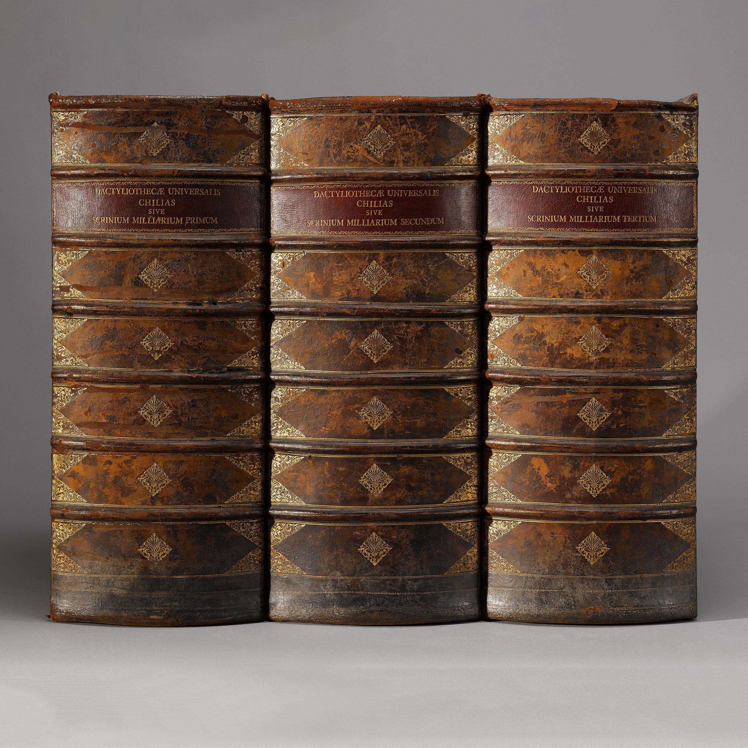 Philipp Daniel Lippert (1702–85), Three book-shaped collector's cabinets, view backside